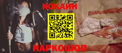 молекула духа Кингисепп