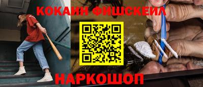 молекула духа Кингисепп