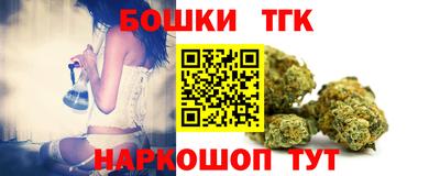 молекула духа Кингисепп