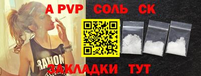 молекула духа Кингисепп