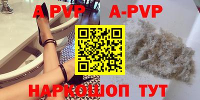 молекула духа Кингисепп