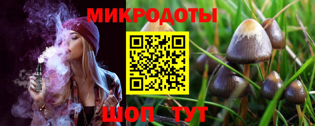 Заречный  Псилоцибиновые грибы GOLDEN TEACHER  Вход с VPN 
